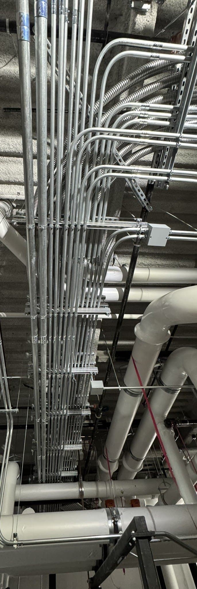 Field-installed overhead electrical conduit showing real-world routing and coordination complexity